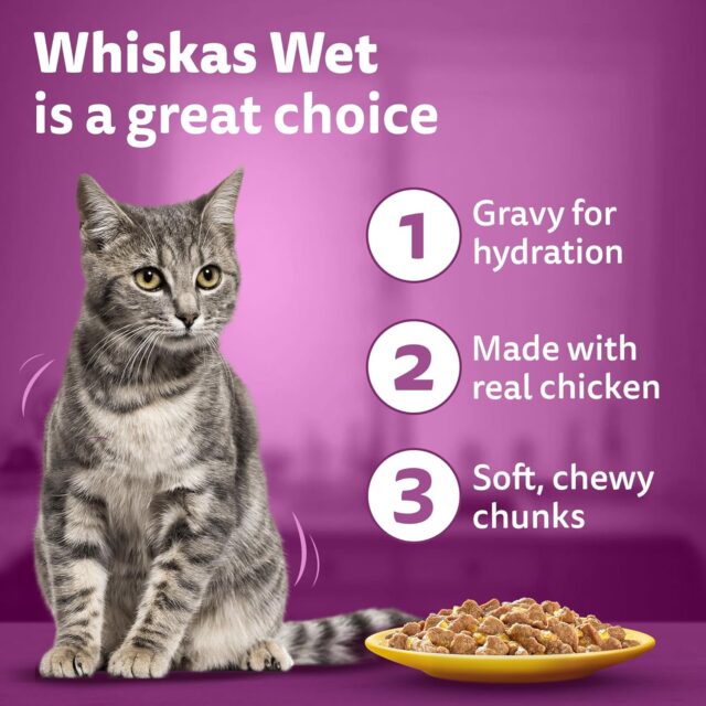 Whiskas Adult (1+ Years) Wet Cat Food – Ocean Fish Flavour 80g (Pack of 1 / 14 / 28) - Image 19