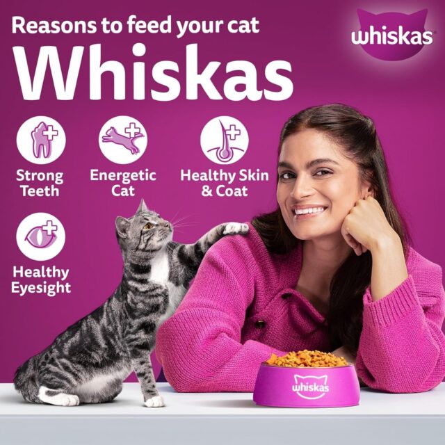 Whiskas Adult (1+ Years) Dry Cat Food – Mackerel Flavour (480 g | 1.2 kg | 3 kg | 7 kg) - Image 14