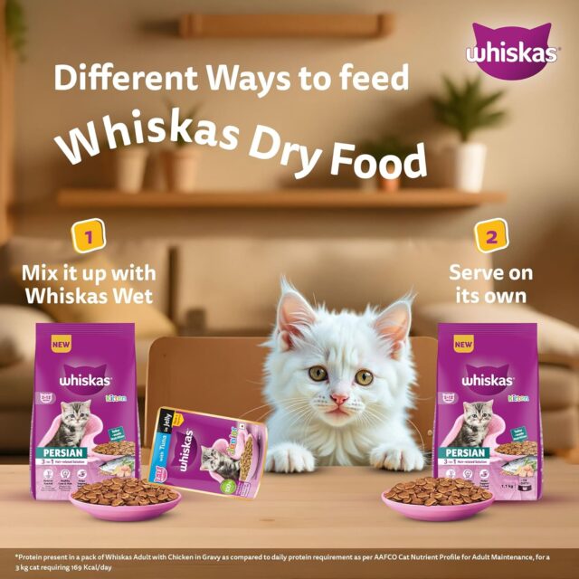 Whiskas Persian Kitten (2–12 Months) Dry Cat Food (400 g | 1.1 kg | 2.8 kg | 6.8 kg) - Image 7