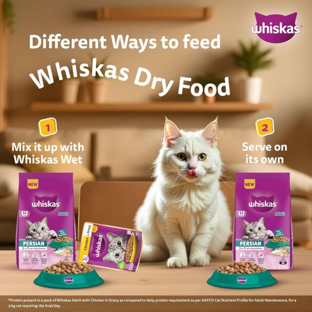 Whiskas Persian Adult (1+ Years) Dry Cat Food  (400 g | 1.1 kg | 2.8 kg | 6.8 kg) - Image 9