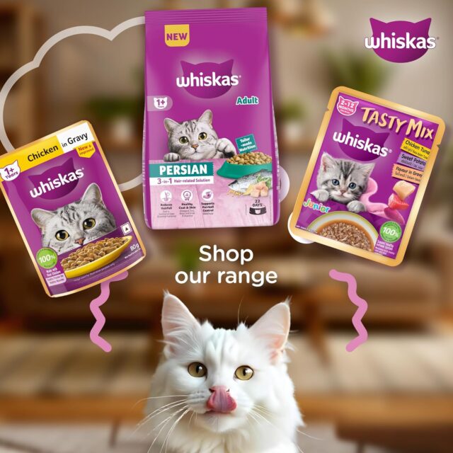 Whiskas Persian Adult (1+ Years) Dry Cat Food  (400 g | 1.1 kg | 2.8 kg | 6.8 kg) - Image 6