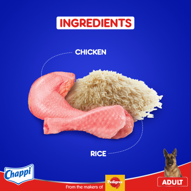 Chappi Adult Dry Dog Food – Chicken & Rice Flavour 1 kg - Image 2