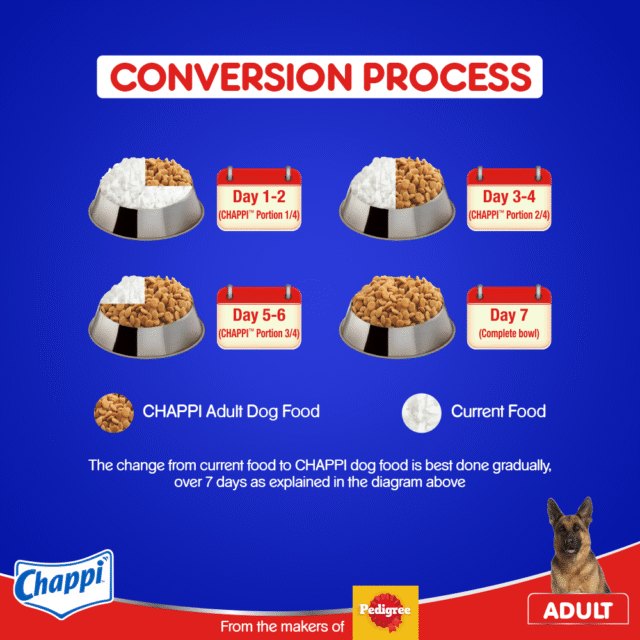 Chappi Adult Dry Dog Food – Chicken & Rice Flavour 1 kg - Image 3