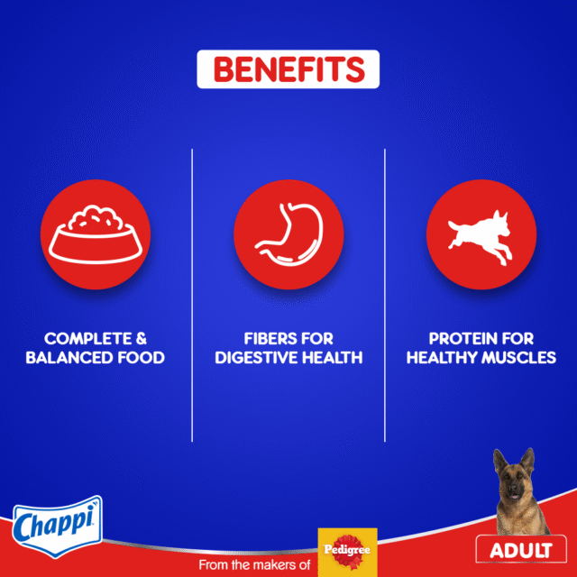 Chappi Adult Dry Dog Food – Chicken & Rice Flavour 1 kg - Image 4