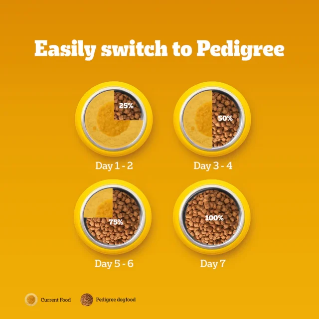 Pedigree Adult Dry Dog Food – Meat & Rice (10kg | 20kg) - Image 8