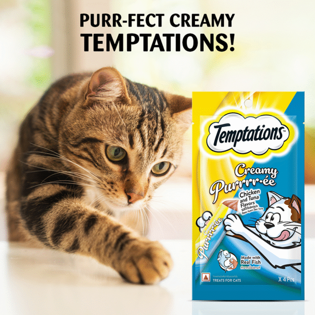 Temptations Creamy Chicken & Tuna 48g – (Pack of 1 & Pack of 12) - Image 2