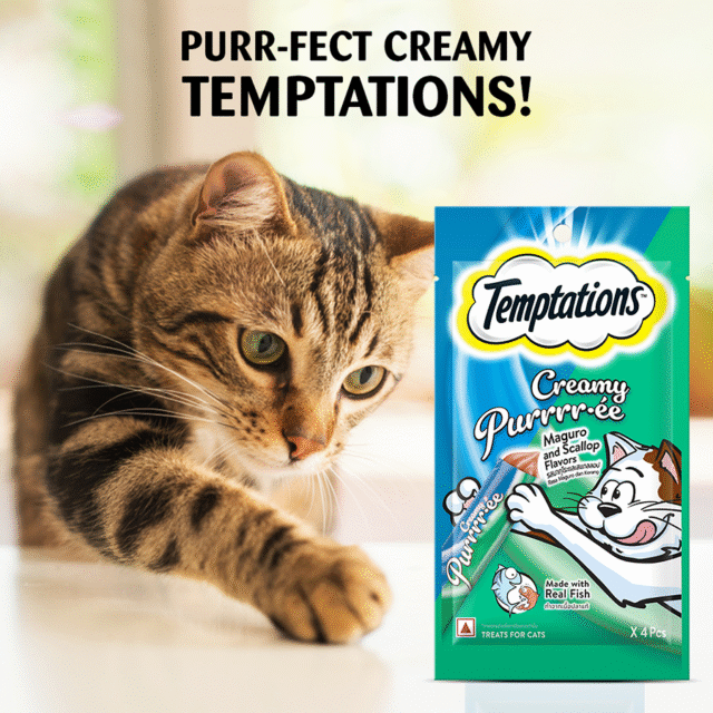 Temptations Creamy Maguro & Scallop Purrr‑ee Cat Treat – 48g ( Pack of 1 & Pack of 12) - Image 2