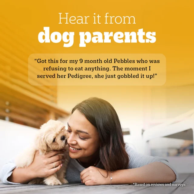 Pedigree Puppy Dry Dog Food – Chicken & Milk (10kg | 15kg | 20kg) - Image 4