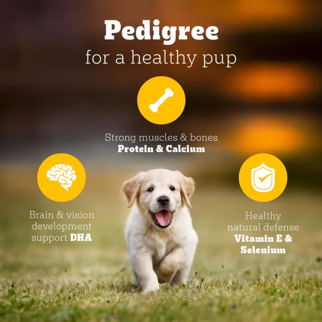 Pedigree Puppy Dry Dog Food – Chicken & Milk (10kg | 15kg | 20kg) - Image 13