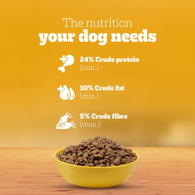 Pedigree Puppy Dry Dog Food – Chicken & Milk (10kg | 15kg | 20kg) - Image 11