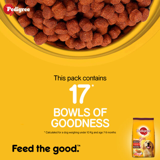 Pedigree Adult Dry Dog Food – Meat & Rice (1kg | 2.8kg) - Image 5