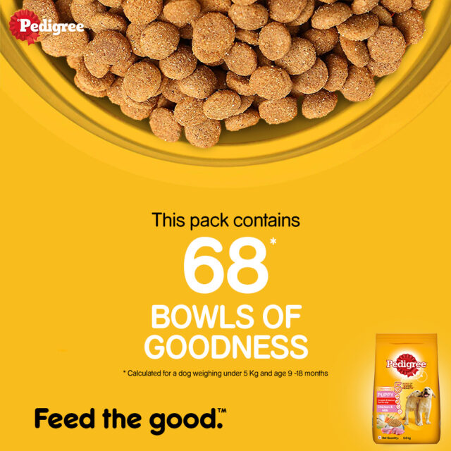 Pedigree Puppy Dry Dog Food – Chicken & Milk (10kg | 15kg | 20kg) - Image 4