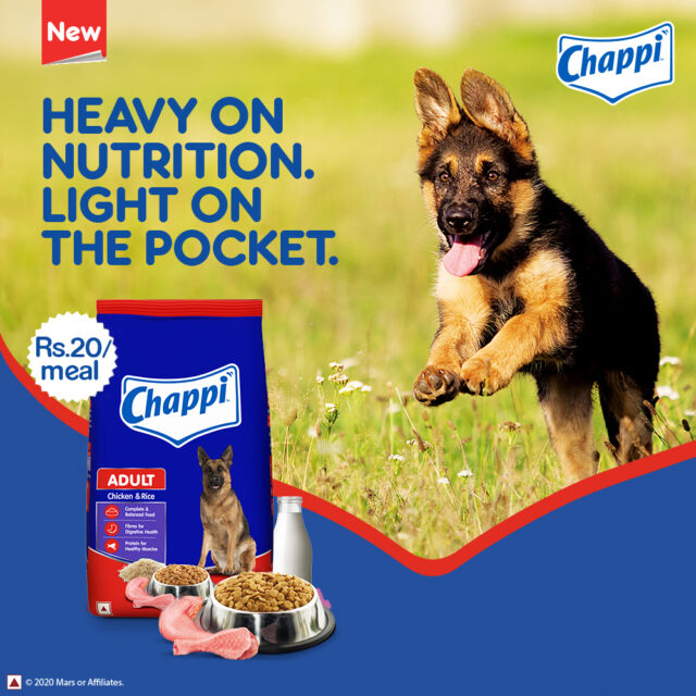 Chappi Adult Dry Dog Food – Chicken & Rice Flavour (2.8 kg | 20 kg) - Image 7