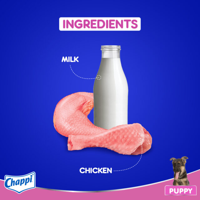 Chappi Puppy Dry Dog Food – Chicken & Milk Flavour (1kg | 2.8 kg) - Image 2