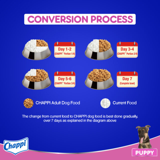 Chappi Puppy Dry Dog Food – Chicken & Milk Flavour (1kg | 2.8 kg) - Image 3