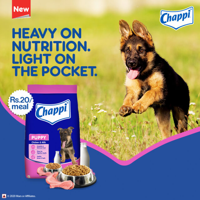 Chappi Puppy Dry Dog Food – Chicken & Milk Flavour (1kg | 2.8 kg) - Image 6