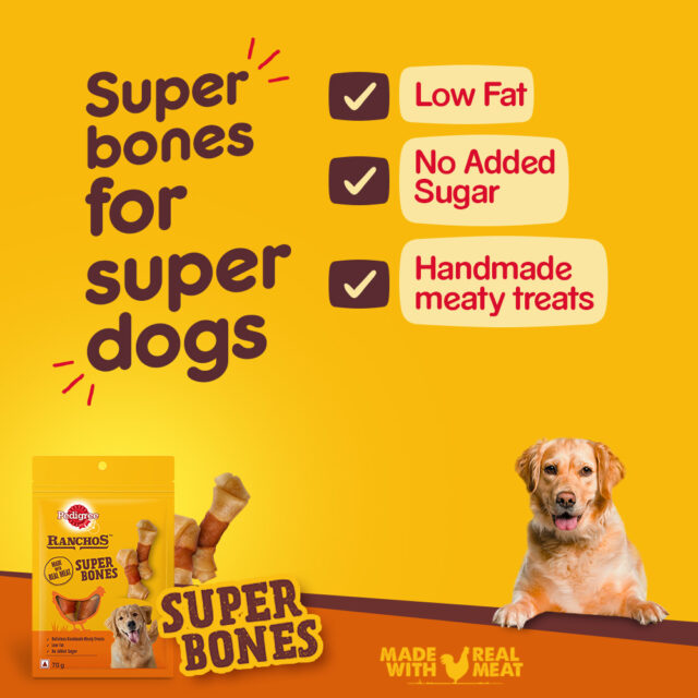 Pedigree Ranchos Super Bones – Chicken & Milky Flavour 840g | Box of 12 Packs - Image 6