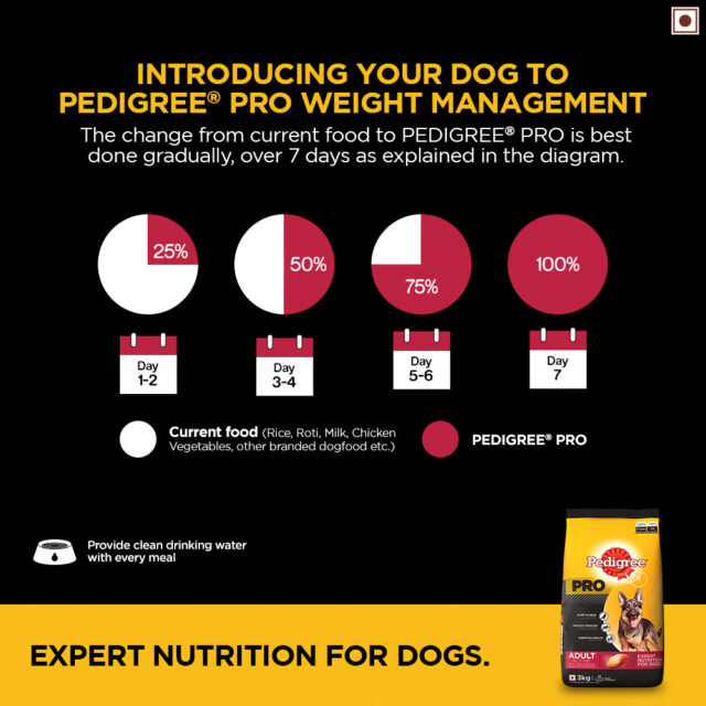 Pedigree PRO Adult Large Breed Dog Food (3kg | 10kg | 20kg) - Image 2