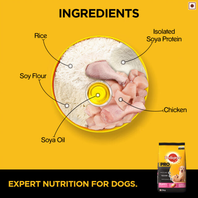 Pedigree PRO Puppy Large Breed Dog Food (3kg | 10kg | 20kg) - Image 2