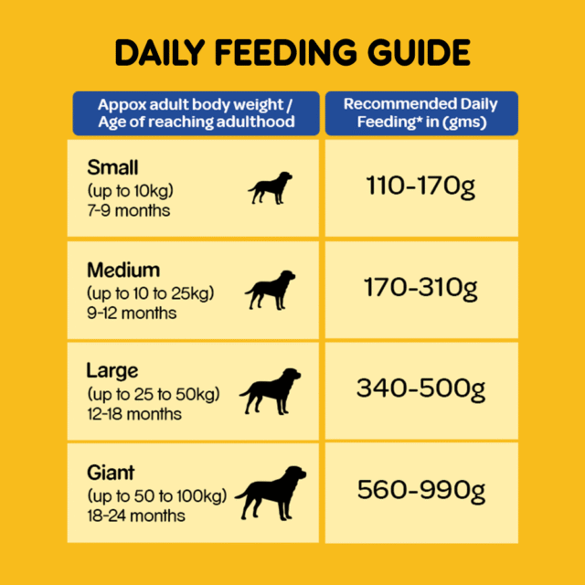Adult Dry Dog Food – Chicken & Vegetables (10kg | 15kg | 20kg) - Image 4
