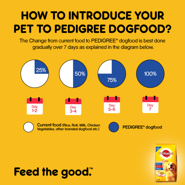 Adult Dry Dog Food – Chicken & Vegetables (10kg | 15kg | 20kg) - Image 9