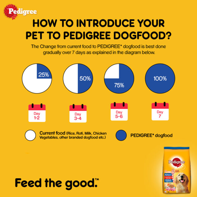 Adult Dry Dog Food – Chicken & Vegetables (370g | 1kg | 2.8kg | 5.5kg) - Image 6