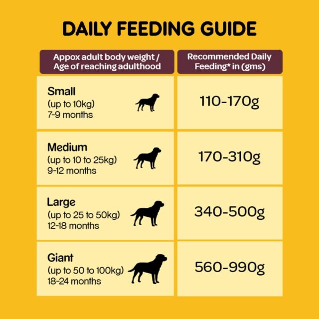 Pedigree Adult Dry Dog Food – Meat & Rice (10kg | 20kg) - Image 4