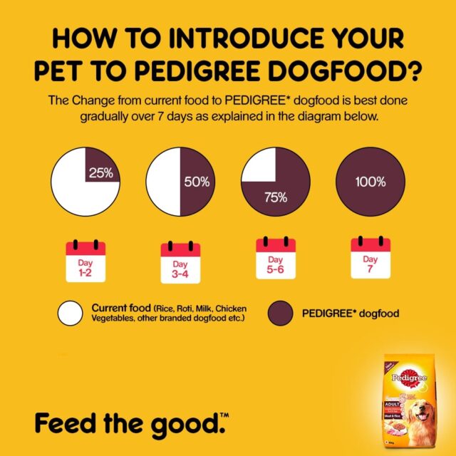Pedigree Adult Dry Dog Food – Meat & Rice (10kg | 20kg) - Image 9