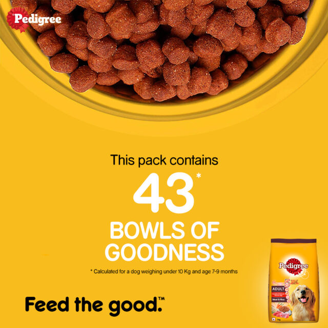 Pedigree Adult Dry Dog Food – Meat & Rice (1kg | 2.8kg) - Image 6