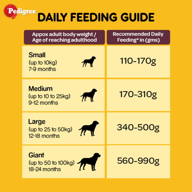 Pedigree Adult Dry Dog Food – Meat & Rice (1kg | 2.8kg) - Image 7