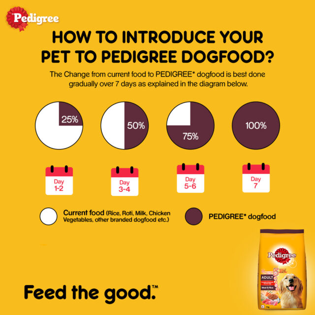 Pedigree Adult Dry Dog Food – Meat & Rice (1kg | 2.8kg) - Image 8
