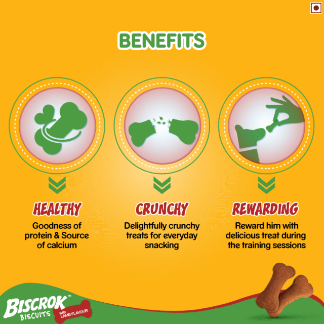 Pedigree Biscrok Biscuits Lamb Flavor (500g & 900g) - Image 4