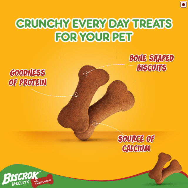 Pedigree Biscrok Biscuits Lamb Flavor (500g & 900g) - Image 2
