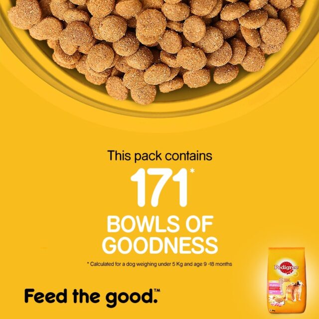 Pedigree Puppy Dry Dog Food – Chicken & Milk (10kg | 15kg | 20kg) - Image 5