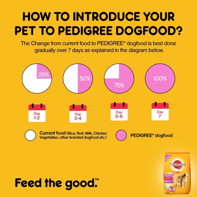 Pedigree Puppy Dry Dog Food – Chicken & Milk (10kg | 15kg | 20kg) - Image 7