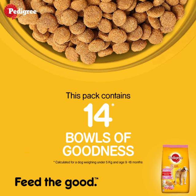 Pedigree Puppy Dry Dog Food – Chicken & Milk (370g | 1kg | 2.8kg | 5.5kg) - Image 3