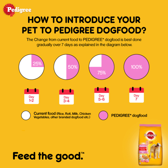 Pedigree Puppy Dry Dog Food – Chicken & Milk (370g | 1kg | 2.8kg | 5.5kg) - Image 5