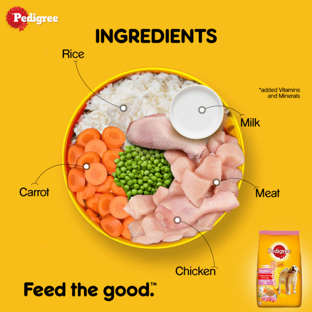 Pedigree Puppy Dry Dog Food – Chicken & Milk (370g | 1kg | 2.8kg | 5.5kg) - Image 4