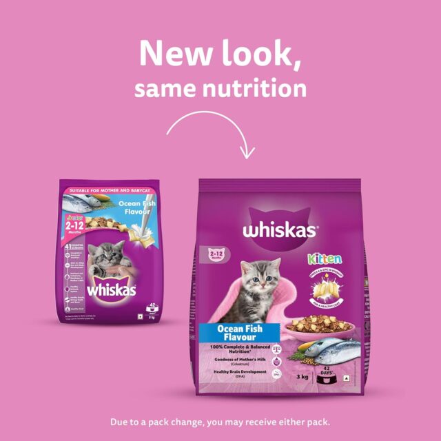 Whiskas Junior Mother Cat & Kitten (2-12 Months) Dry Cat Food, Ocean Fish Flavour (450 g | 1.1kg) - Image 2
