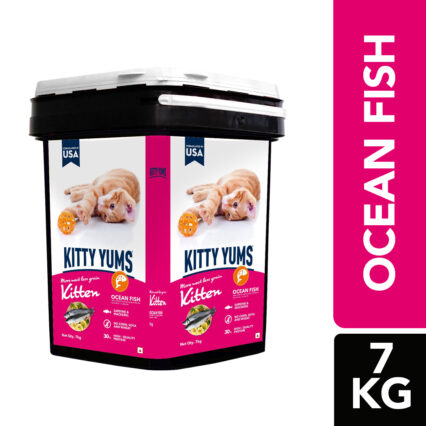 Kitty Yums Ocean Fish - Kitten Dry Cat Food - 7kg (Inside Container)
