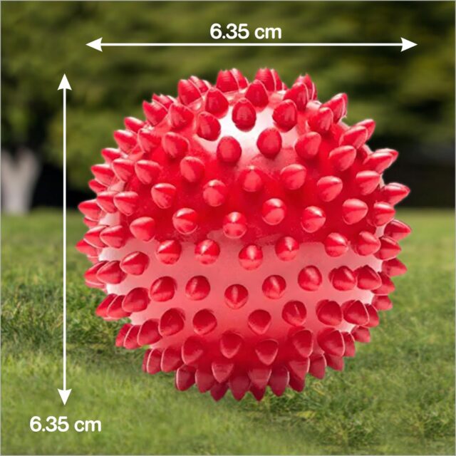 Drools Non-Toxic Rubber Stud Spike Hard Ball Chew Toy, Puppy/Dog Teething Toy - Image 3
