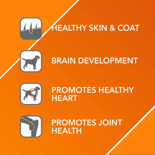 Drools Absolute Salmon Oil Syrup – Dog Supplement (150 ml | 300 ml) - Image 3
