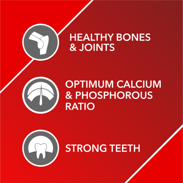 Drools Absolute Calcium Sausage Dog Supplement – Jar - Image 10