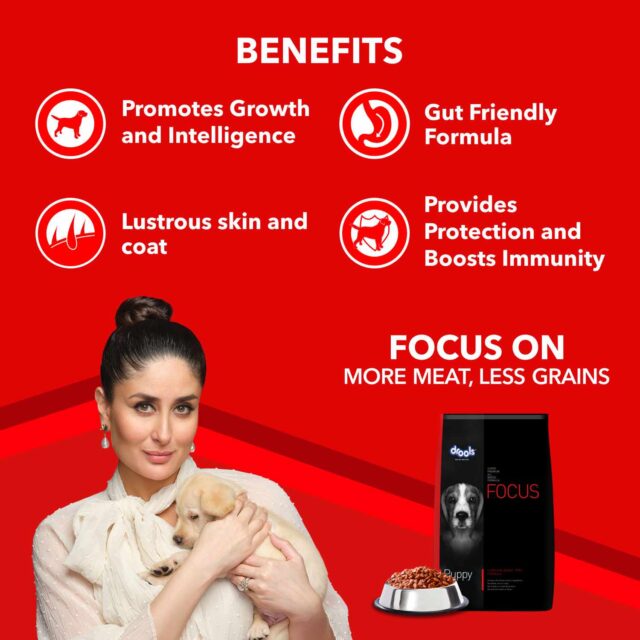 Drools Focus Puppy Super Premium Dry Dog Food (1.2 kg | 4 kg | 12 kg) - Image 4