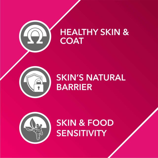 Drools Absolute Skin + Coat Syrup – Dog Supplement (300 ml) - Image 4