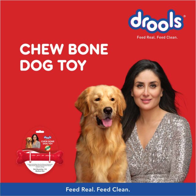Drools Non-Toxic Rubber Dog Chew Bone Toy (Large | Medium) - Image 2