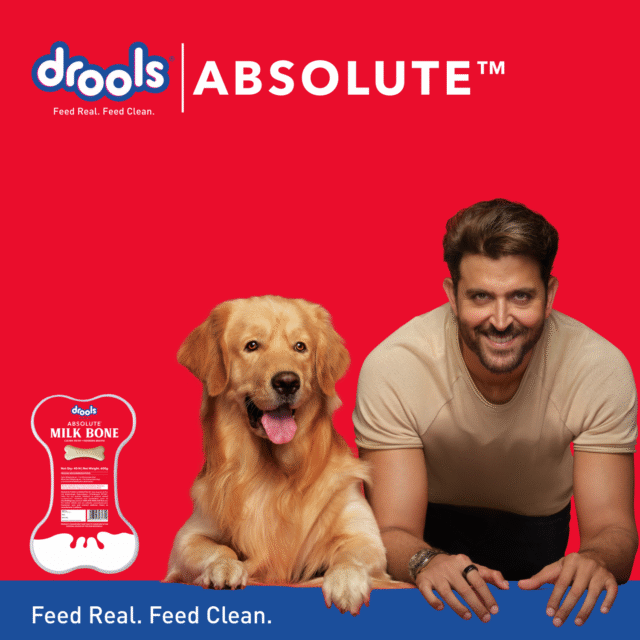 Drools Absolute Milk Bone Jar – Dog Treats (300 g – 20 Pieces | 600 g – 40 Pieces) - Image 4
