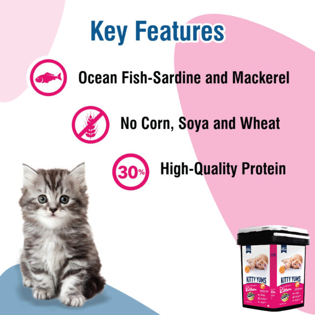 Kitty Yums Ocean Fish - Kitten Dry Cat Food - 7kg (Inside Container) - Image 5