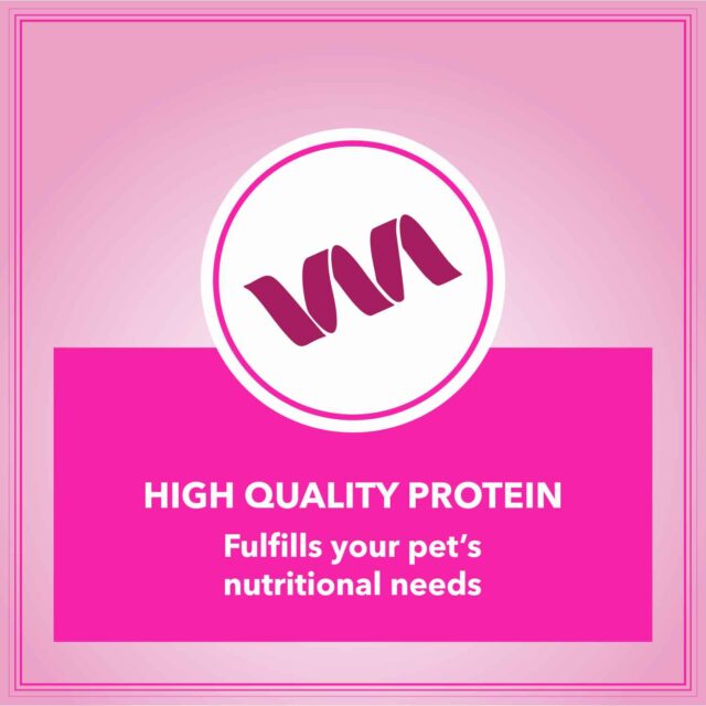 Let's Bite Active Adult Chicken Dog Dry Food – 10kg (+1kg Free Inside) - Image 2