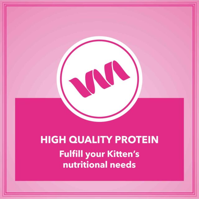 Let’s Bite Active Kitten Cat Dry Food 400 gm (Buy 1 Get 1 Free) - Image 5